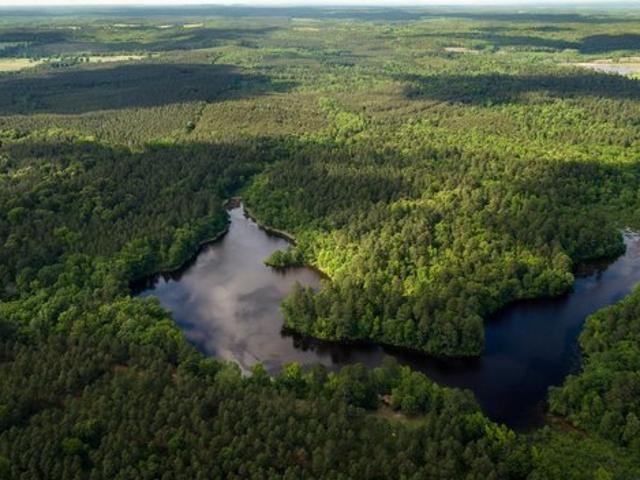 Land for sale in Linden, Texas