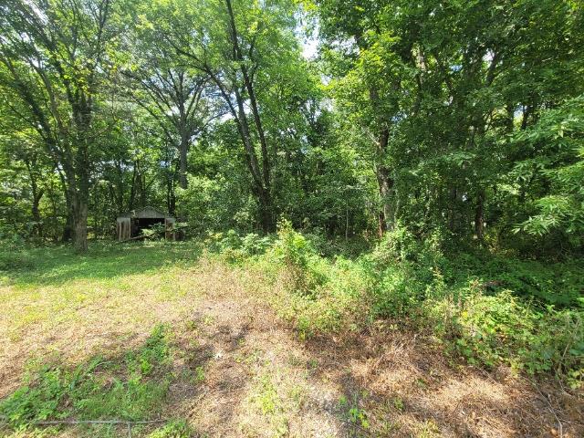 Land for sale in Mc Leansboro, Illinois