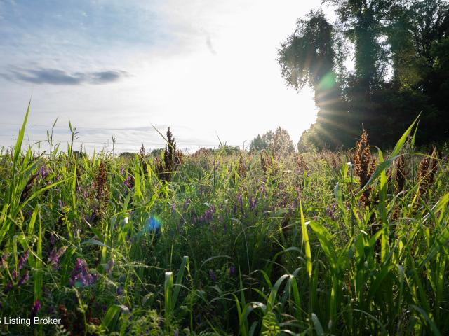 Land for sale in Kentucky