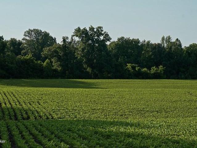 Land for sale in Maceo, Kentucky