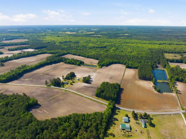 Land for sale in Nichols, South Carolina