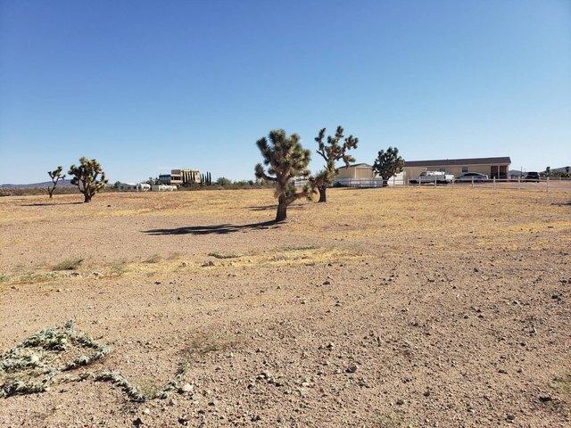Land for sale in Willow Beach, Arizona