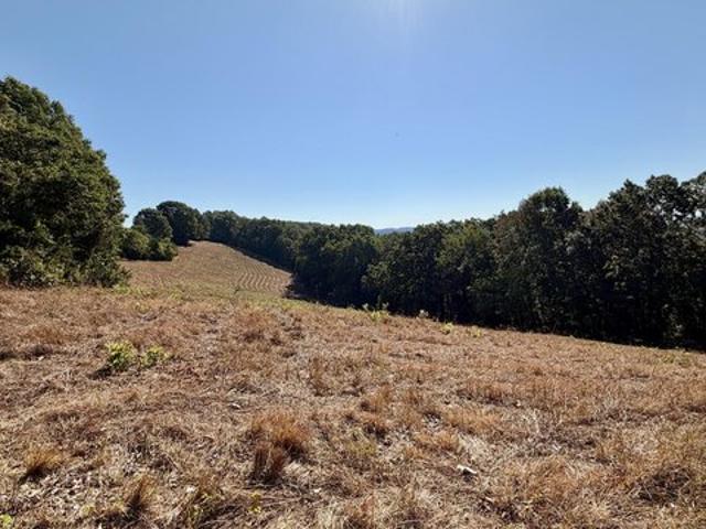 Farm for sale in Walnut Shade, Taney County