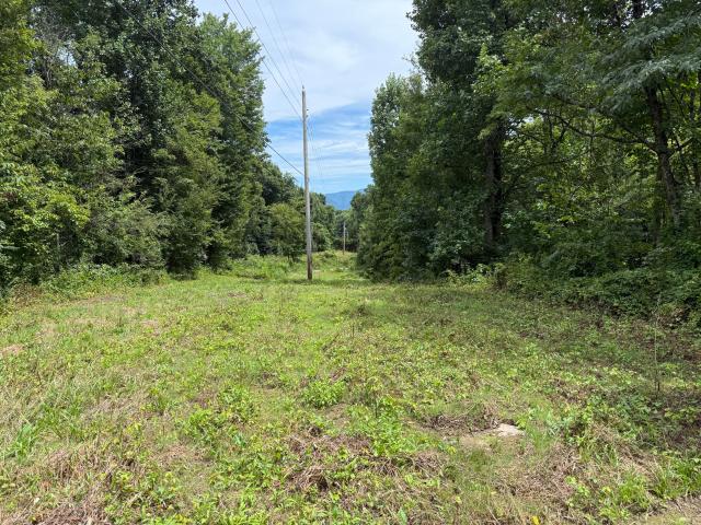 Land for sale in Tennessee