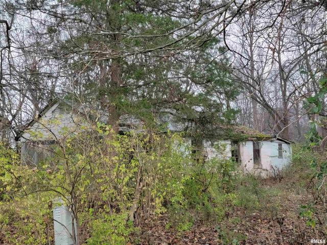 Land for sale in Perry, Illinois