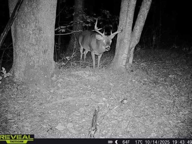 Land for sale in South Webster, Scioto County
