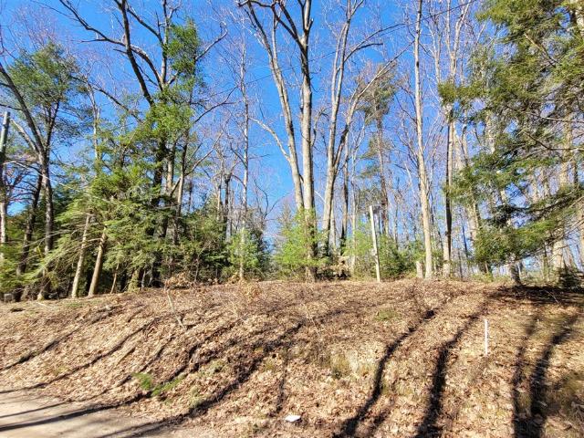 Land for sale in Michigan