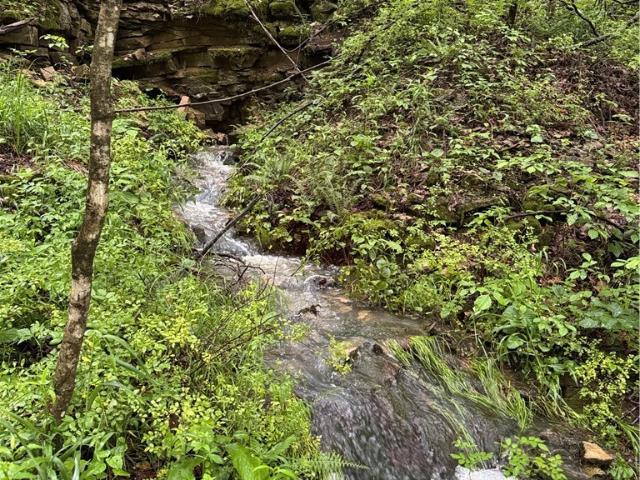 House for sale in Paoli, Indiana