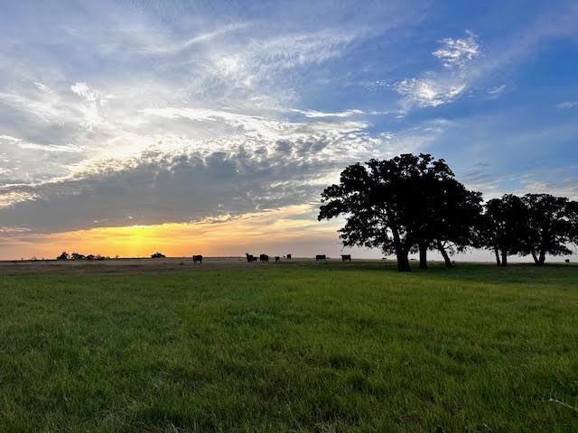 Land for sale in Cross Plains, Callahan County