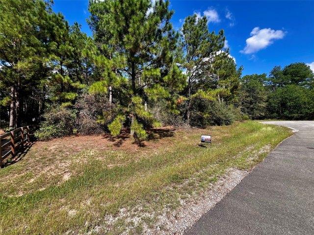 Land for sale in Waller, Waller County