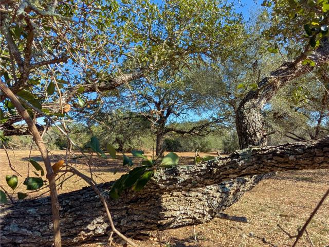 Land for sale in Fayetteville, Texas