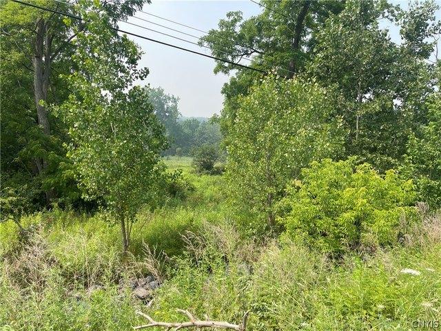 Land for sale in Cayuga, New York