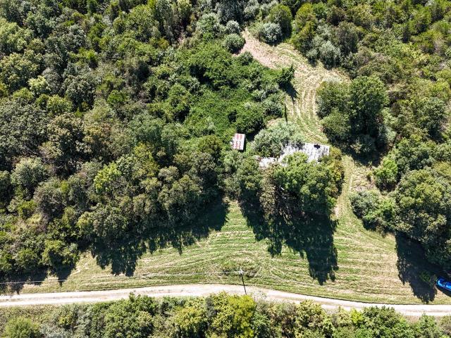 Land for sale in Sadieville, Harrison County