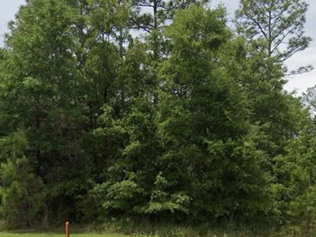 Land for sale in Timber Creek, Daphne