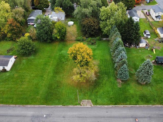 Land for sale in Adrian, Lenawee County