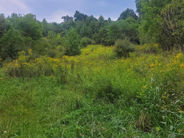 Land for sale in Saltville, Smyth County