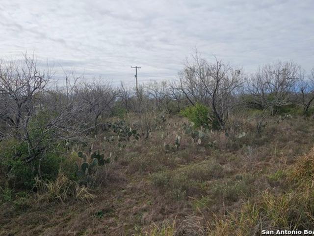 Land for sale in Christine, Texas