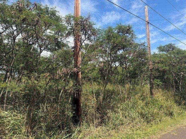 Land for sale in Naalehu, Hawaii