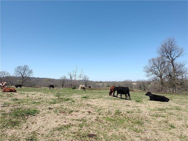 Land for sale in Ark