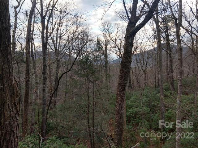 Land for sale in Rutherford, North Carolina