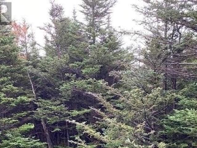 Land for sale in Northern Bay, Newfoundland And Labrador