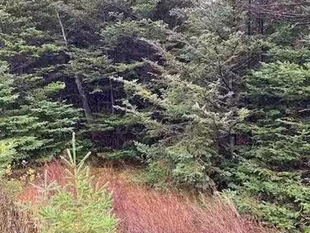 House for sale in Northern Bay, Newfoundland And Labrador