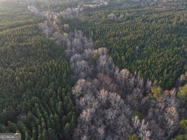 Land for sale in Franklin, Georgia