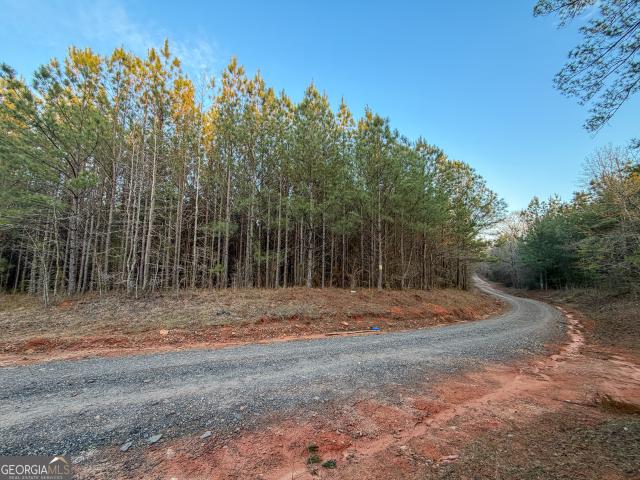 Land for sale in Franklin, Georgia