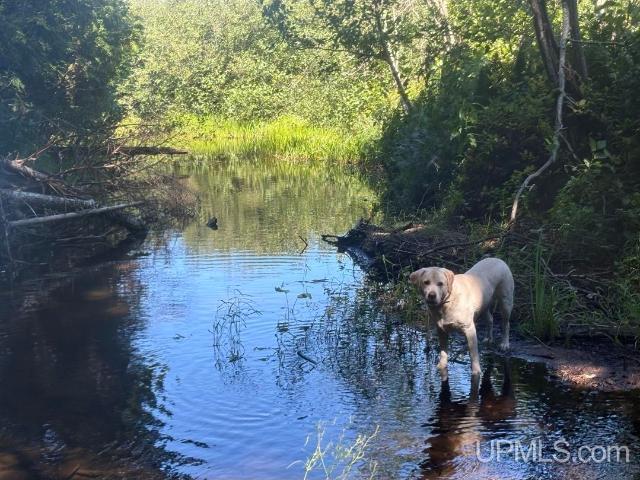 Land for sale in Deerton, Onota Township