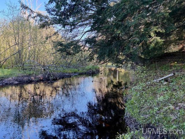Land for sale in Deerton, Michigan