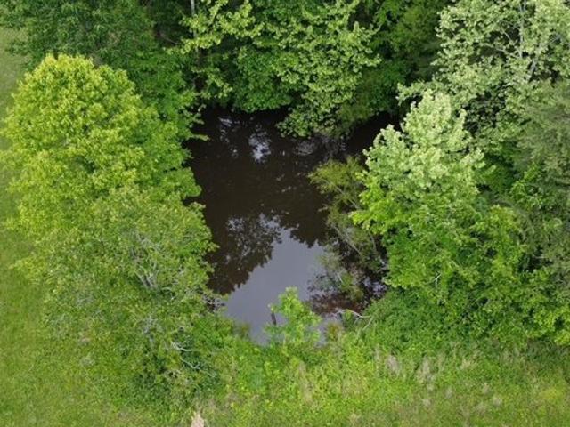Land for sale in Princeton, Kentucky