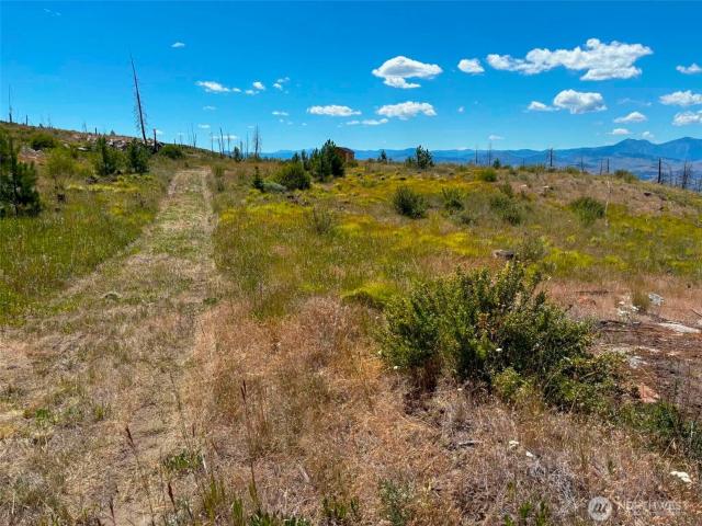 Land for sale in Oroville, Washington