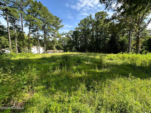 Land for sale in Havelock Park, Havelock
