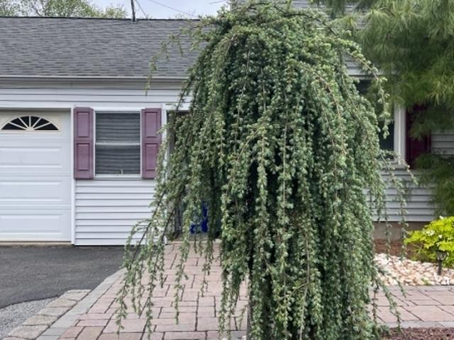 House for sale in Kendall Park, New Jersey