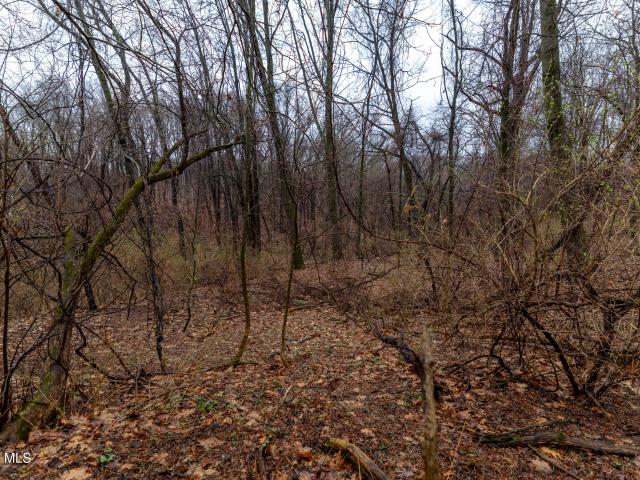 Land for sale in Albany, New York