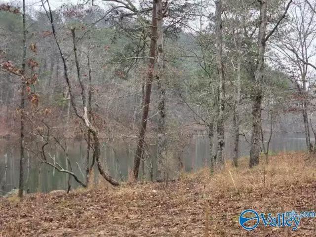 House for rent in Russellville, Alabama