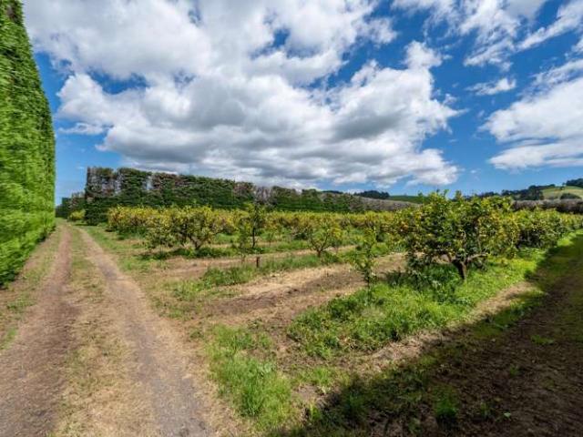 Property for sale in Awhitu