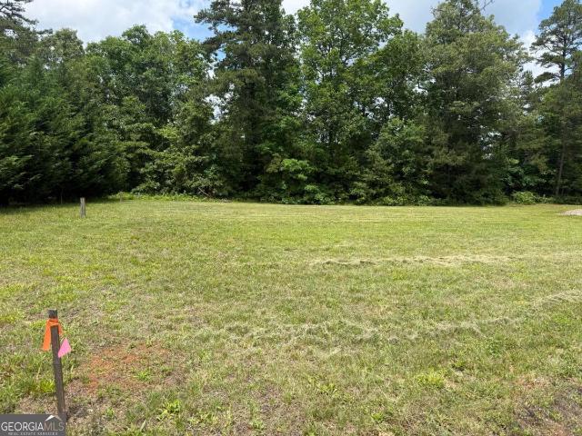 Land for sale in Blairsville, Georgia