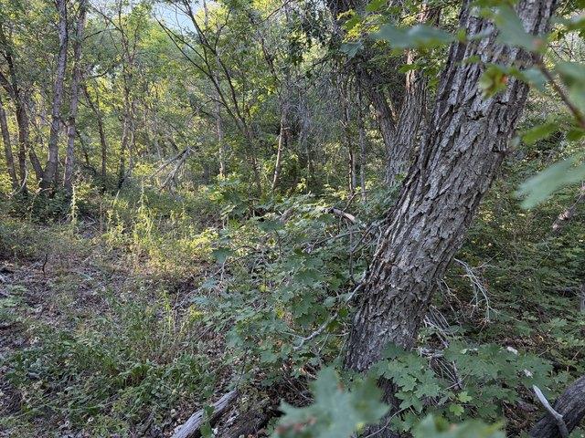 Land for sale in Springville, Utah