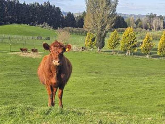 Property for sale in Hamurana, Bay Of Plenty