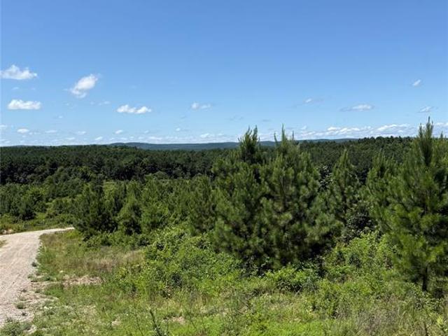 Land for sale in Broken Bow, Oklahoma