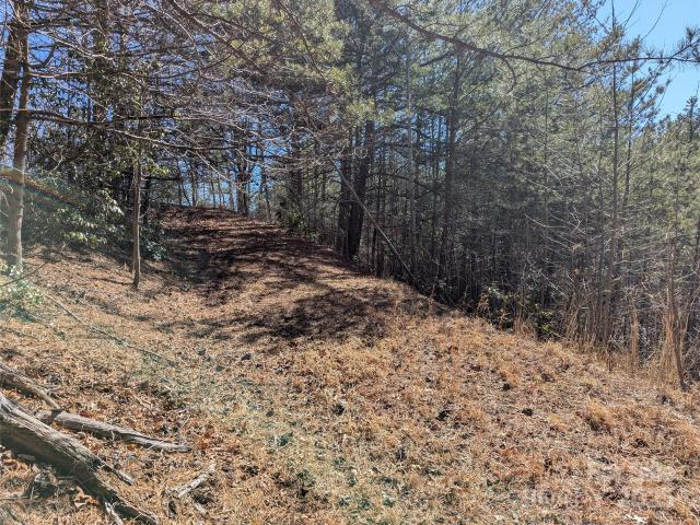 Land for sale in Black Mountain, North Carolina