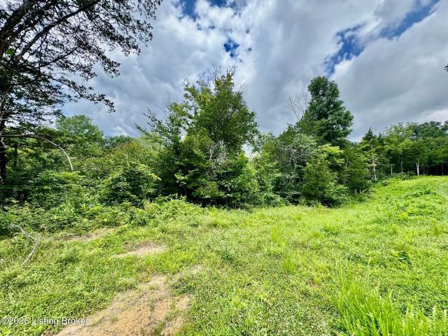 Land for sale in Willisburg, Kentucky