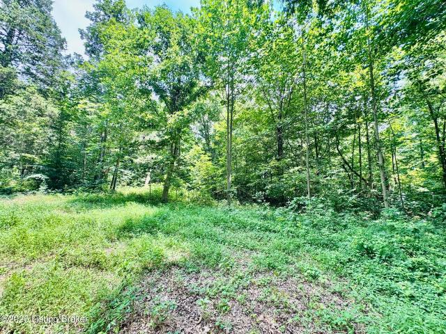 Land for sale in Willisburg, Kentucky