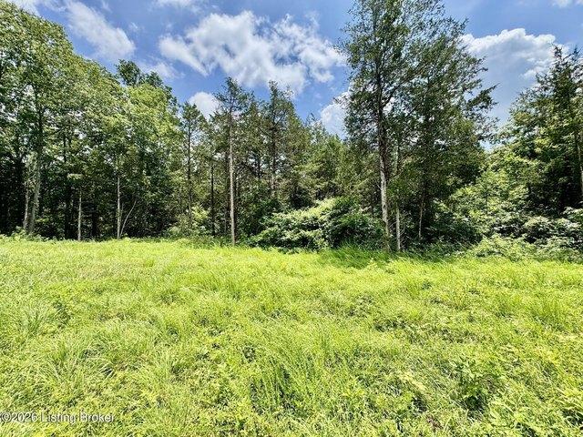 Land for sale in Willisburg, Kentucky