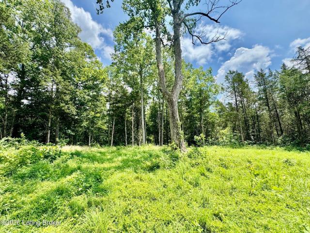 Land for sale in Willisburg, Kentucky