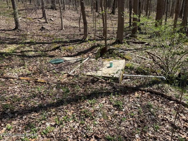 Farm for sale in Irvington, Kentucky