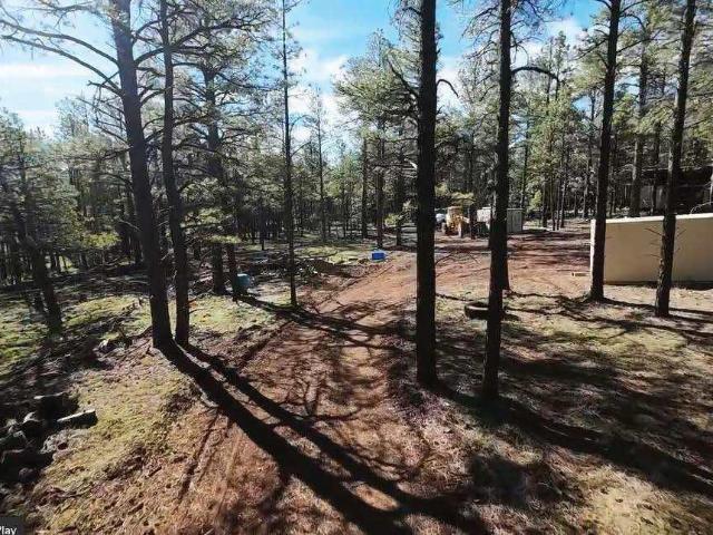 Farm for sale in Navajo, Arizona