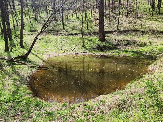 Farm for sale in Tennessee