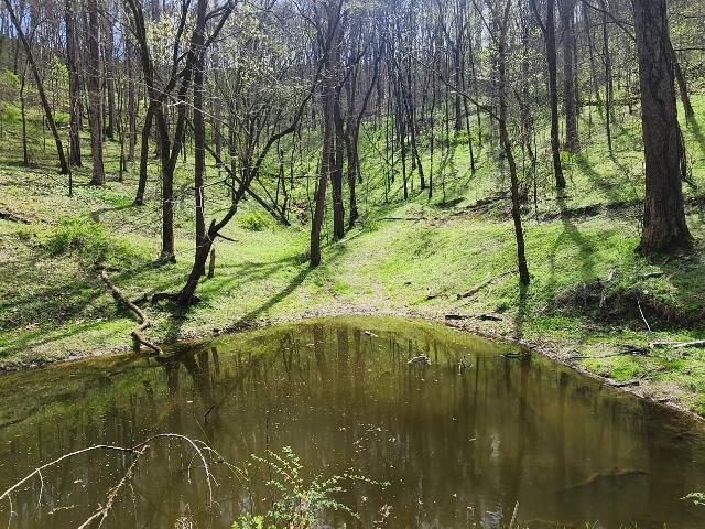 Land for sale in Tennessee